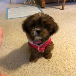 Meet your Posher, Melisa